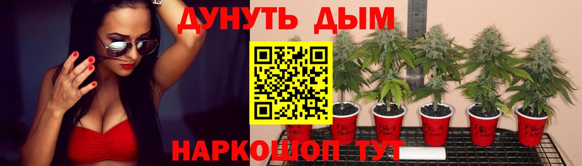Каннабис ГИДРОПОН Корсаков